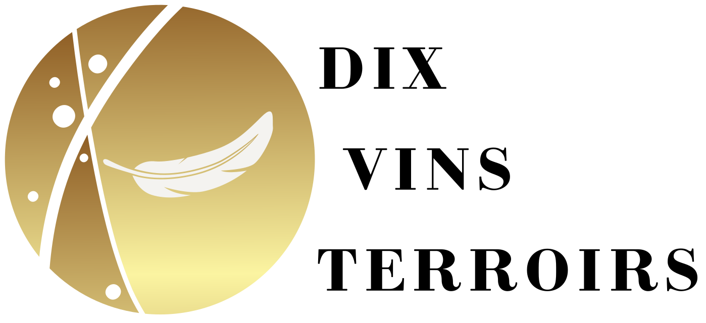 Logo Dix Vins Terroirs