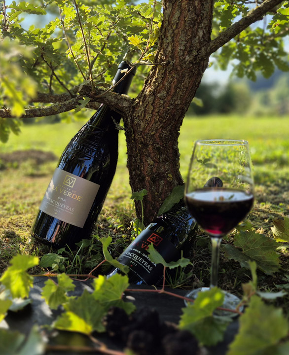 Photo de bouteilles de vin rouge sous un arbre