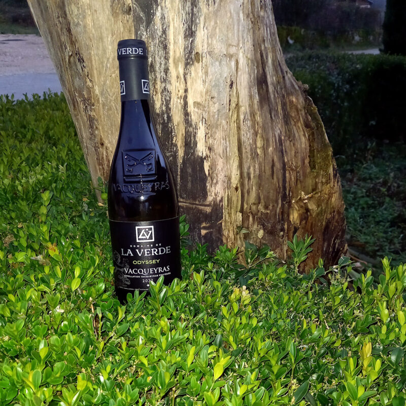 Vin Blanc Odyssey Domaine De La Verde
