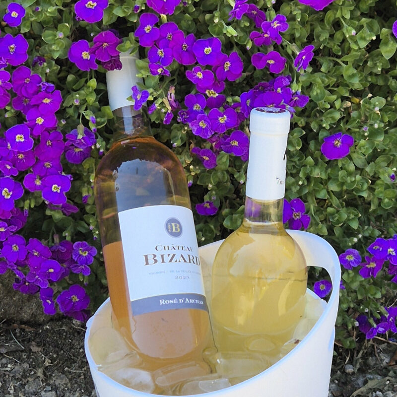 Vin rosé rosé d'archas château bizard (2)