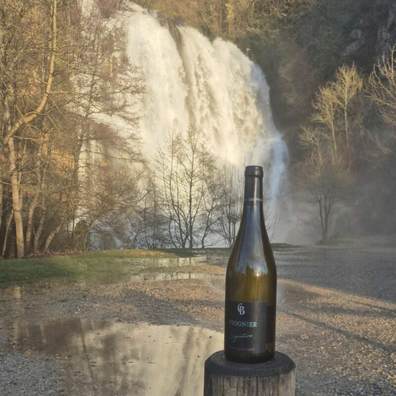 Vin Blanc Caveau Bugiste Viognier