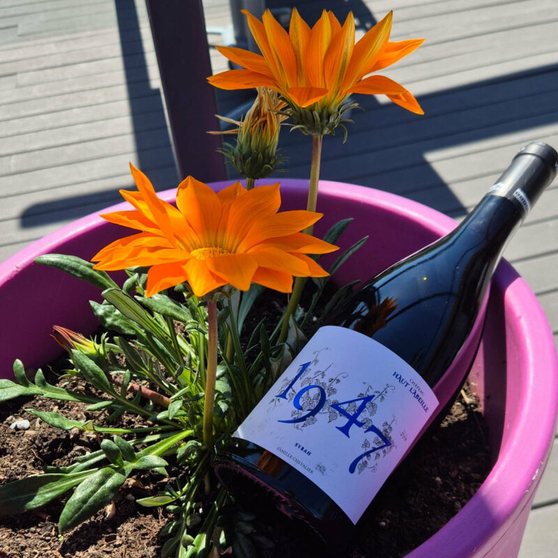 Syrah 1947 domaine chevallier(2)