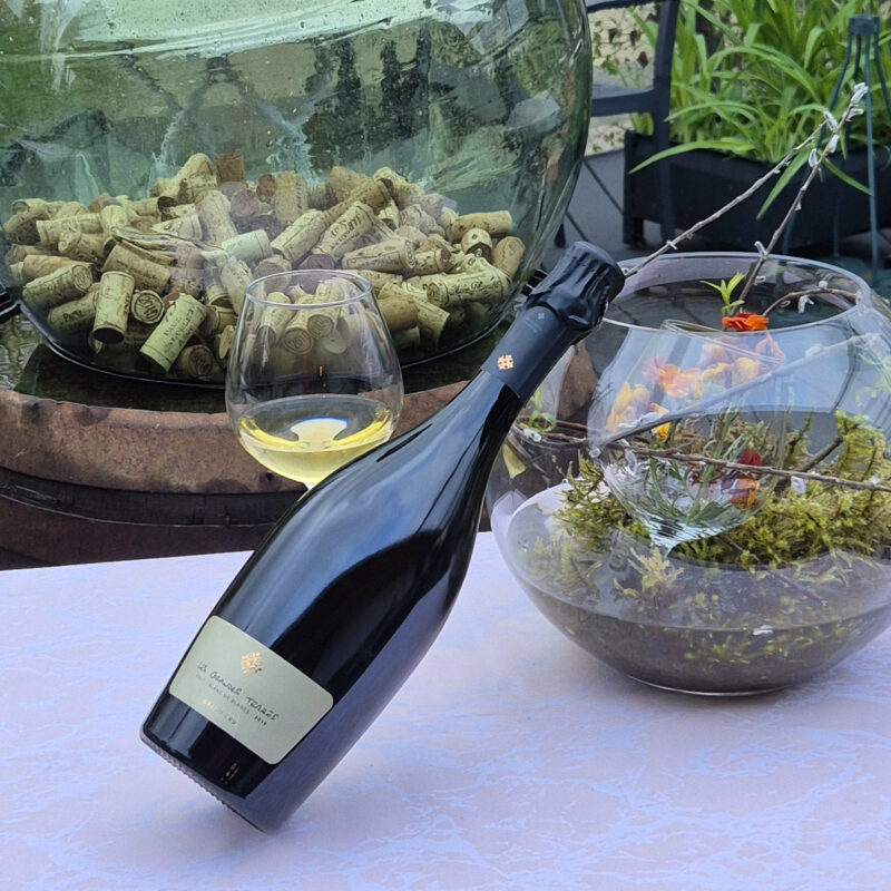 Champagne les grandes terres grand cru copie
