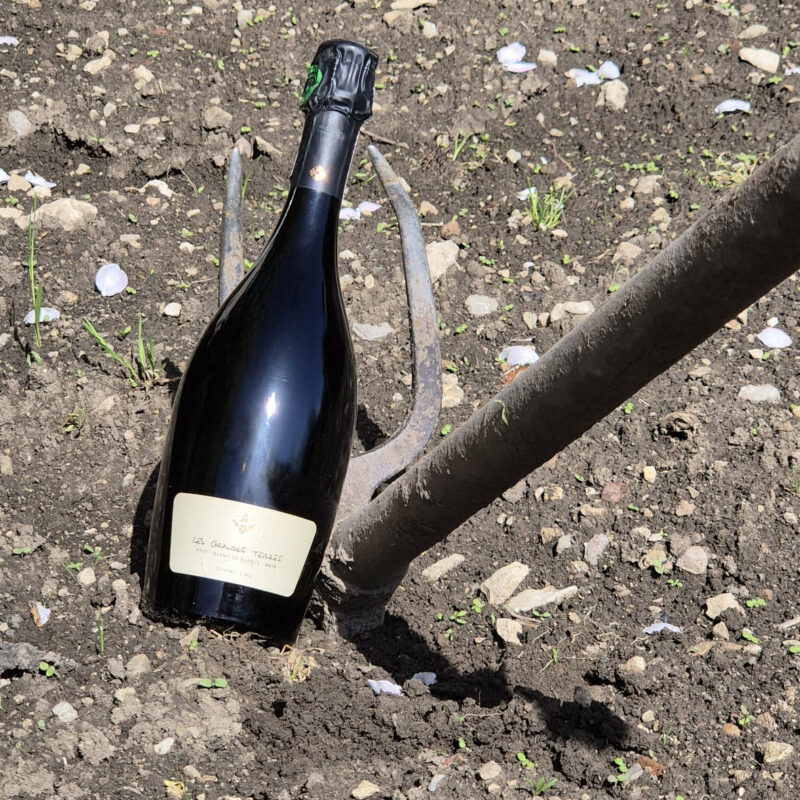 Grandes terres champagne grand cru
