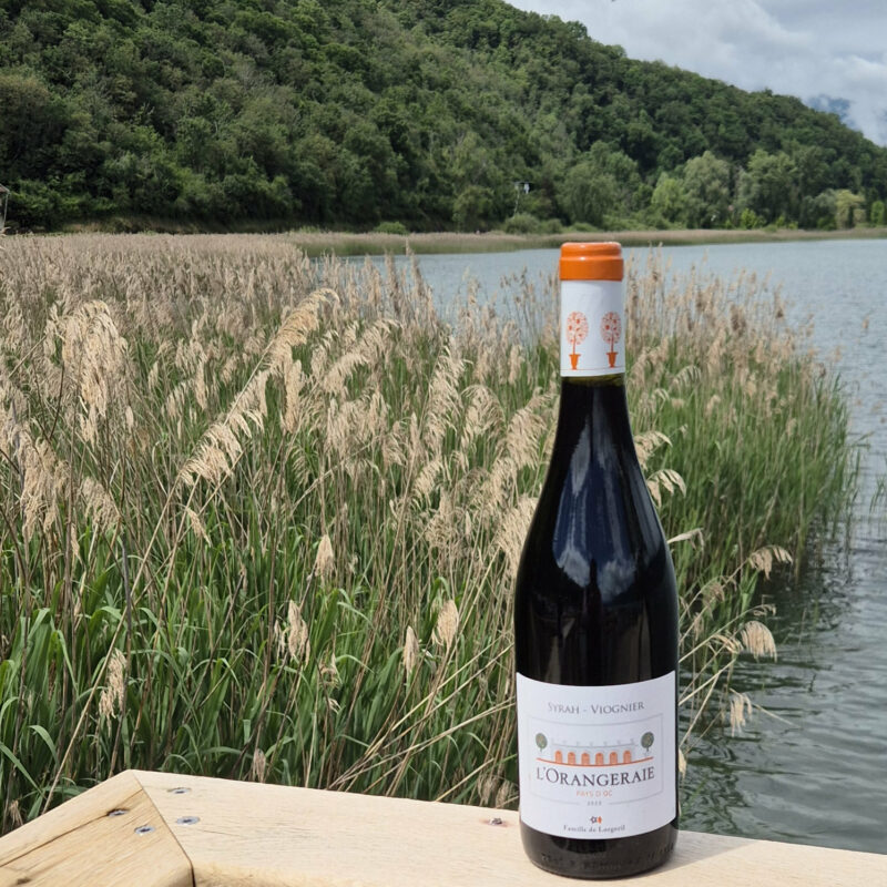 Vin rouge syrah viognier pays d'oc l'orangeraie vignoble lorgeril