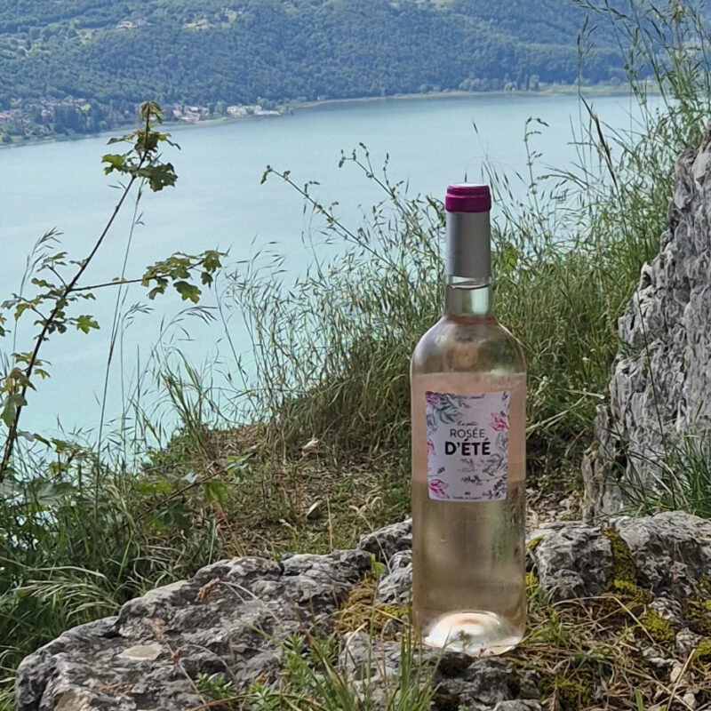Vin rosé la petite rosée d'été domaine lorgeril