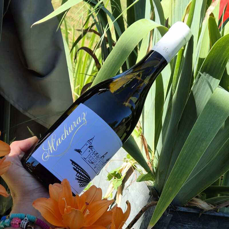 Vin blanc bugey machuraz caveau bugite