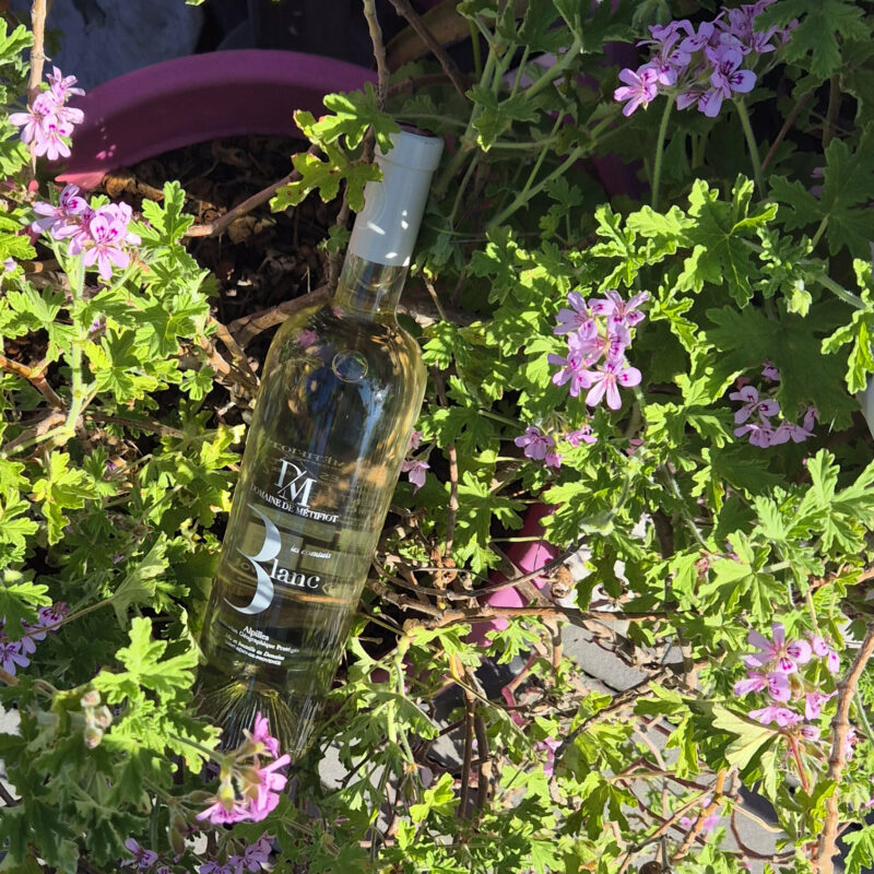 Vin blanc igp alpilles essentiel blanc domaine de métifiot
