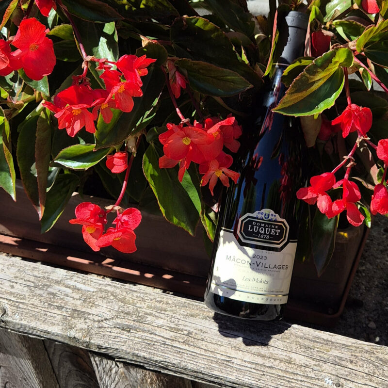Vin blanc mâcon village les mulots domaine luquet 1878