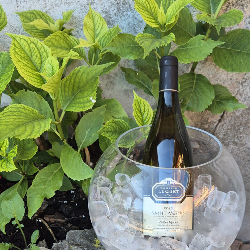 Vin blanc saint véran vieilles vignes domaine luquet 1878