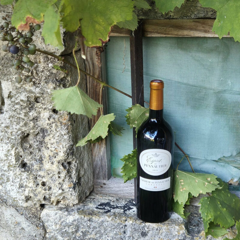 Vin rouge esprit de pennautier lorgeril cabardes château de pennautier