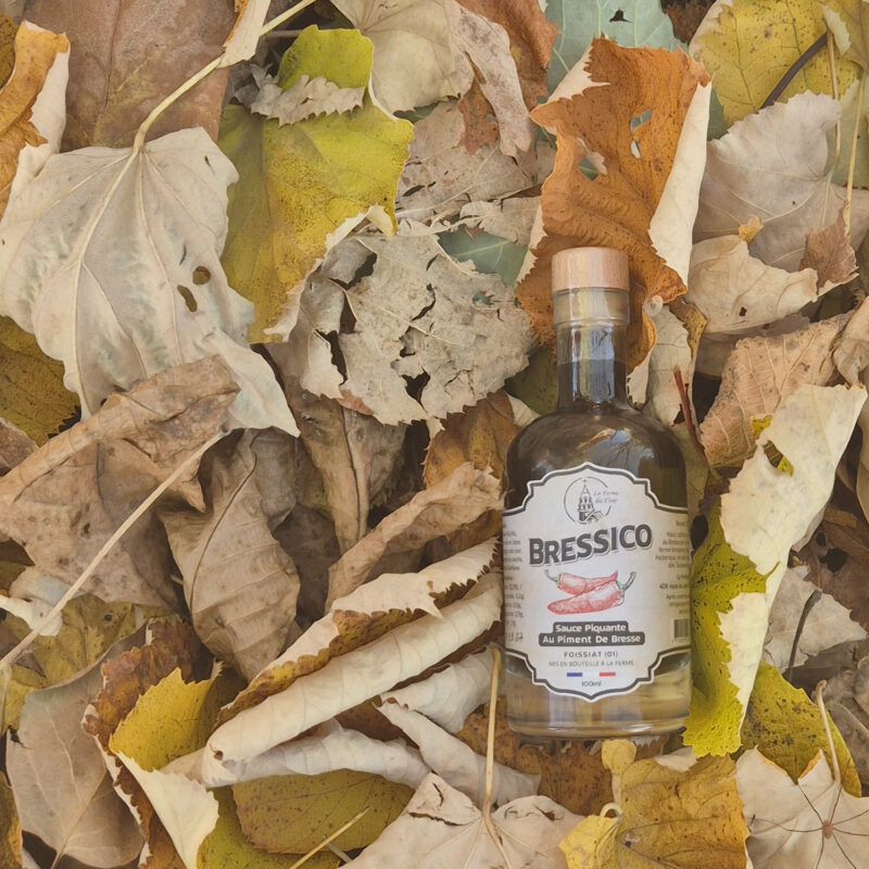 Bressico noir ferme du tiret piment de bresse