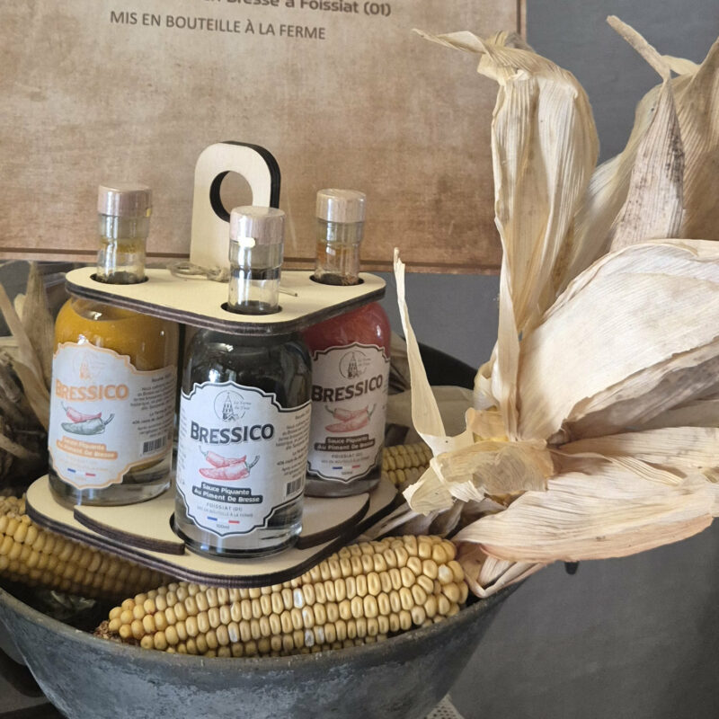 Carroussel bressico ferme du tiret